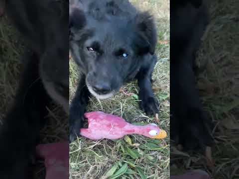 Wanda en vidéo 4