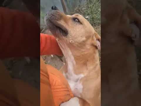 Tunari en vidéo 6