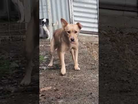 Belize en vidéo 2