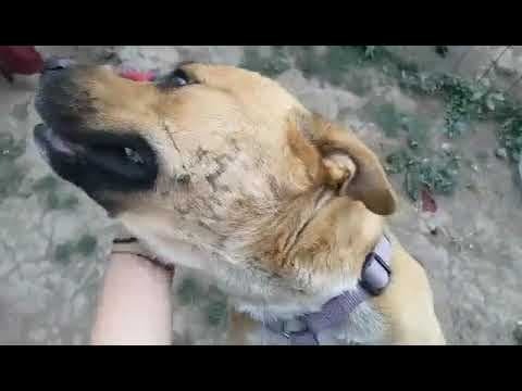 Zeus en vidéo 3