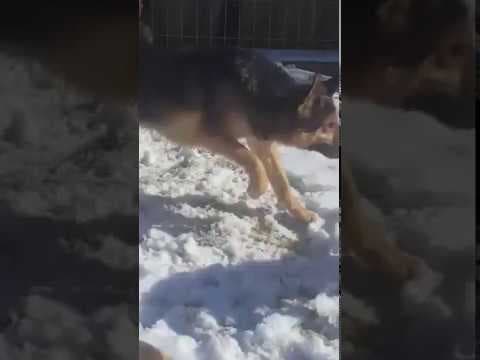 Narco en vidéo 10