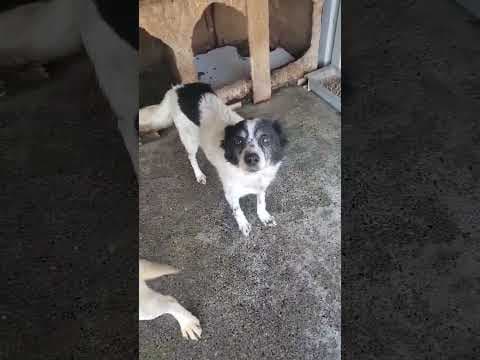 Milen en vidéo 3