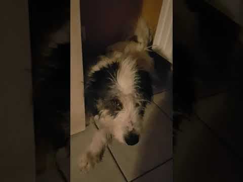 Hiona en vidéo 5