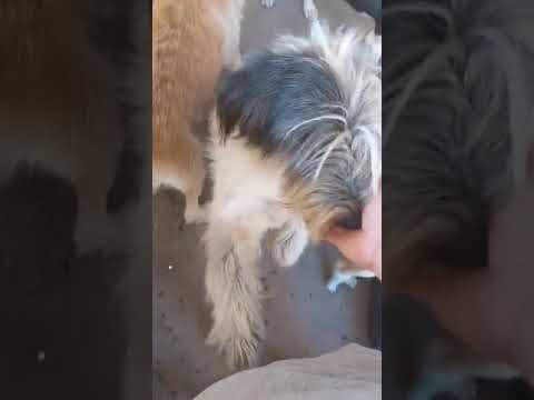 Copernica en vidéo 1