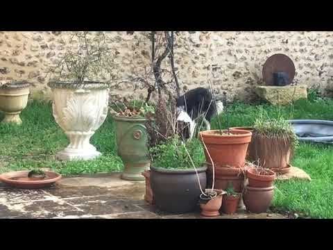 Eragon en vidéo 7