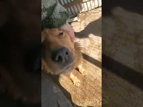 Namaari en vidéo 1