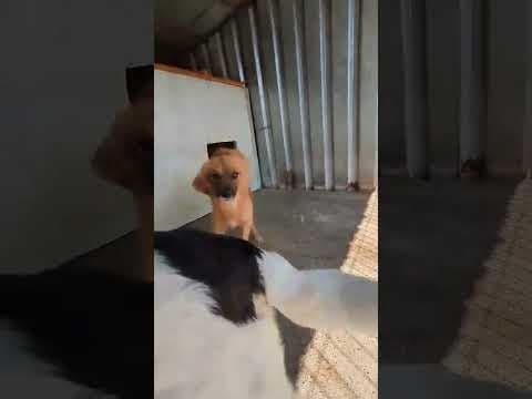 Jovana en vidéo 1