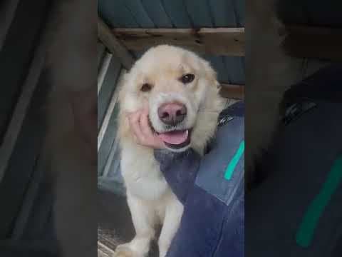 Sable en vidéo 2