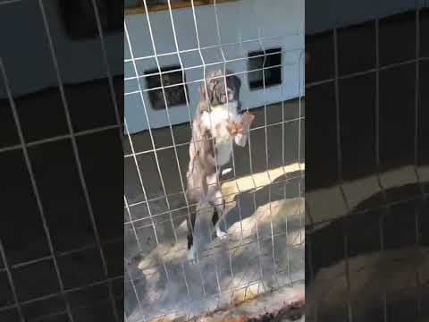 Luna en vidéo 4