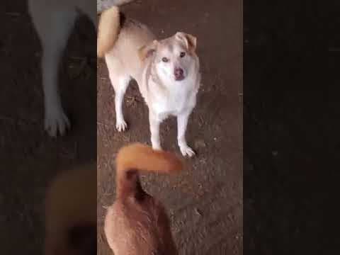 Selina en vidéo 1