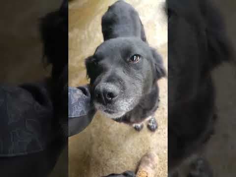 Kilia en vidéo 1