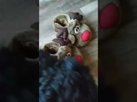 Artea en vidéo 6