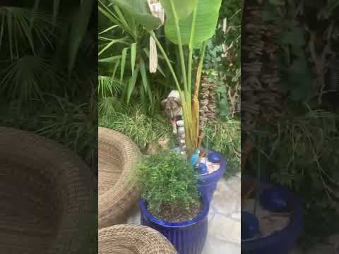 Meredith en vidéo 3