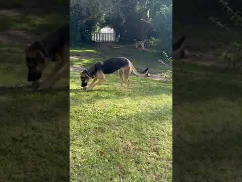 Lola en vidéo 9