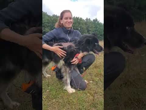 Sunjka en vidéo 1