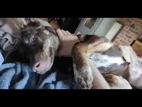 Plume en vidéo 1