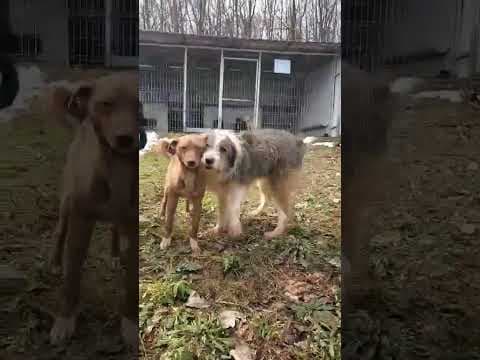Tyboo en vidéo 1