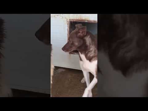 Eragon en vidéo 3