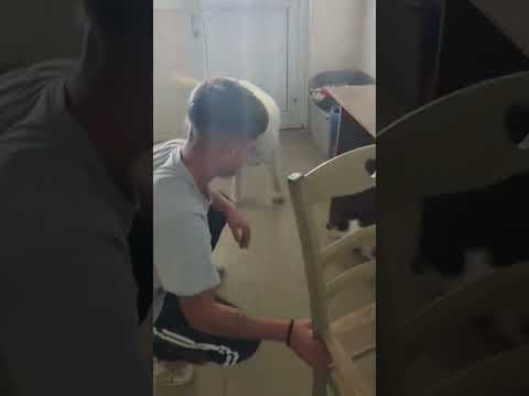 Cyrano en vidéo 5