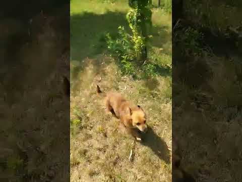 Kiddy en vidéo 2