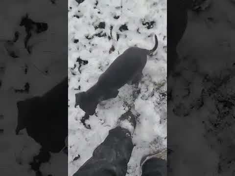 Iona en vidéo 1