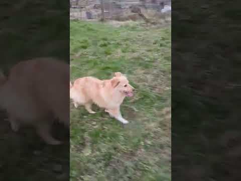 Umi en vidéo 2