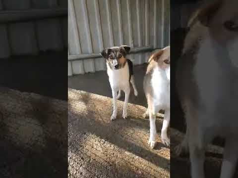 Flora en vidéo 1