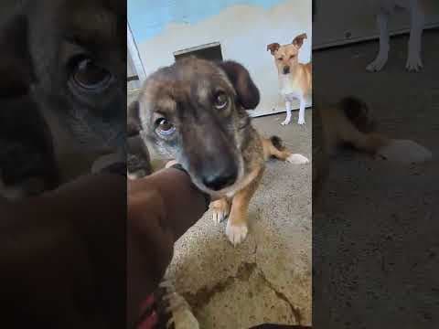 Irma en vidéo 1