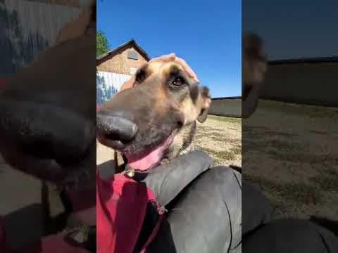 Lola en vidéo 1
