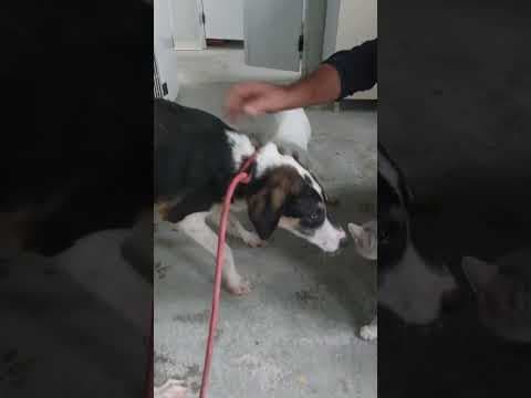 Charline en vidéo 2