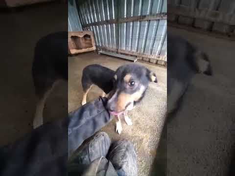 Vito en vidéo 3