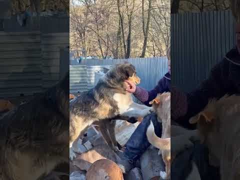 Sancho en vidéo 4