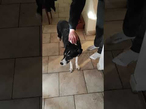Salome en vidéo 11