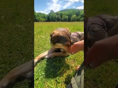 Sheree en vidéo 3