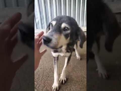 Magica en vidéo 4