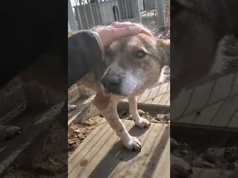 Ziva en vidéo 7