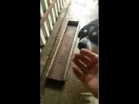 Praline en vidéo 6