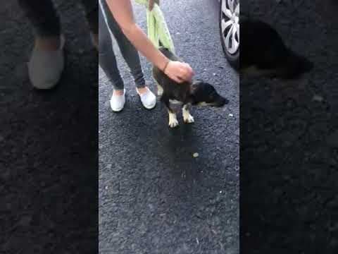 Lisette en vidéo 3