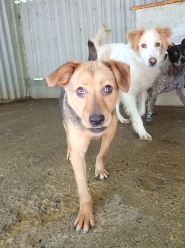 Ahsoka · photo 11