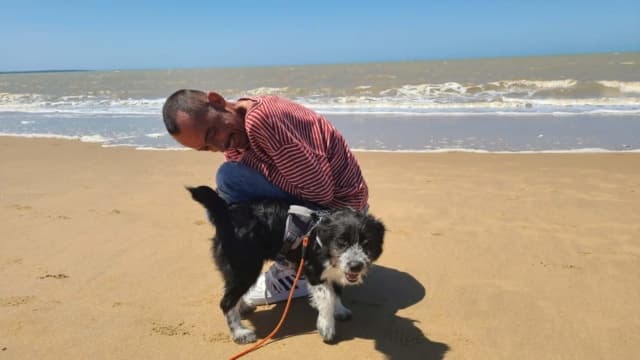 Alde · photo 6