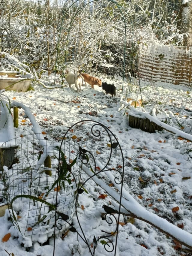 Alistair · photo 11