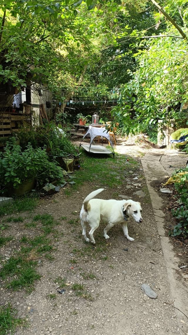 Alistair · photo 2