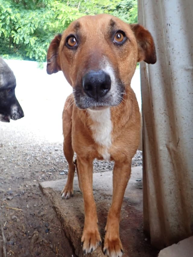 Alodia · photo 3