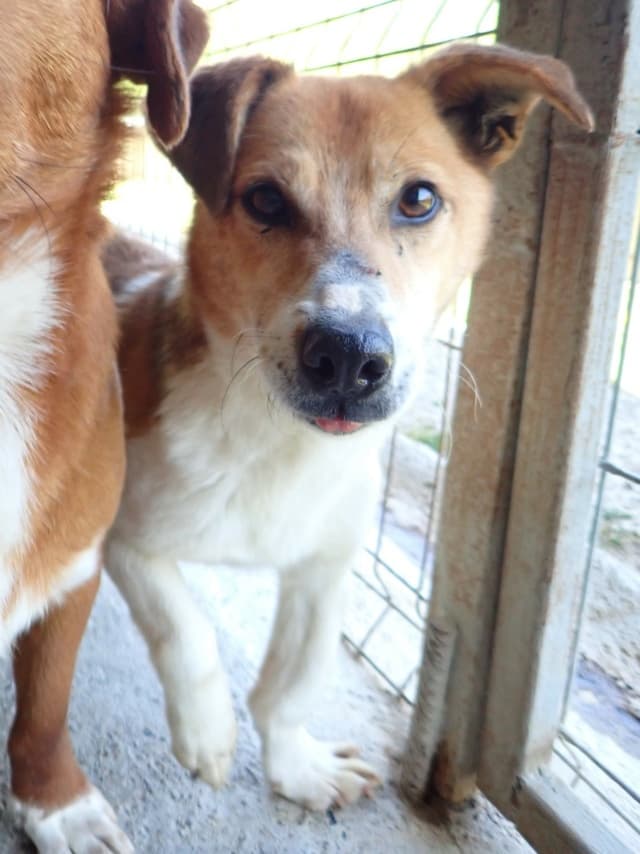 Arturo · photo 11