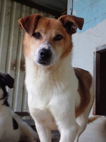 Arturo · photo 1