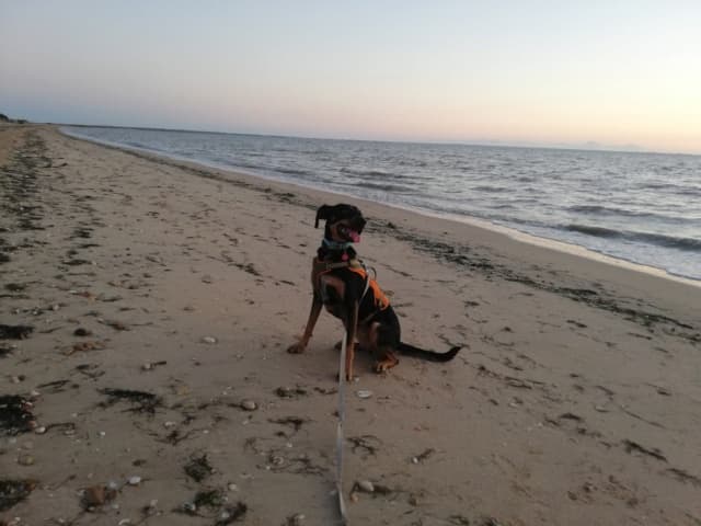 Athena
