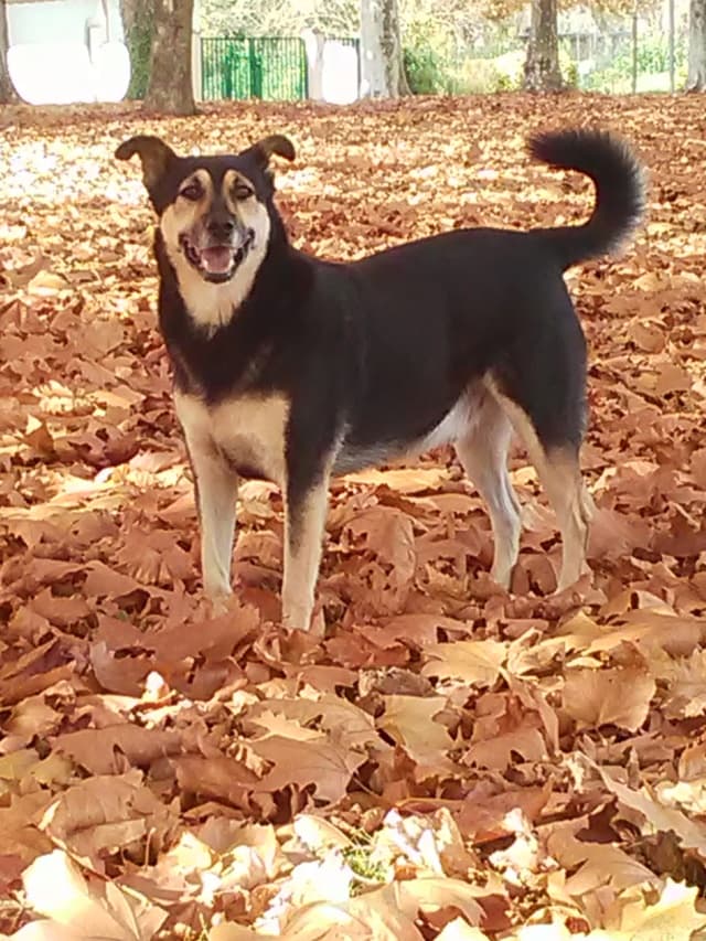 Blacky · photo 5
