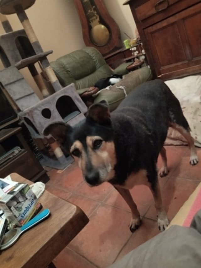 Blacky · photo 1
