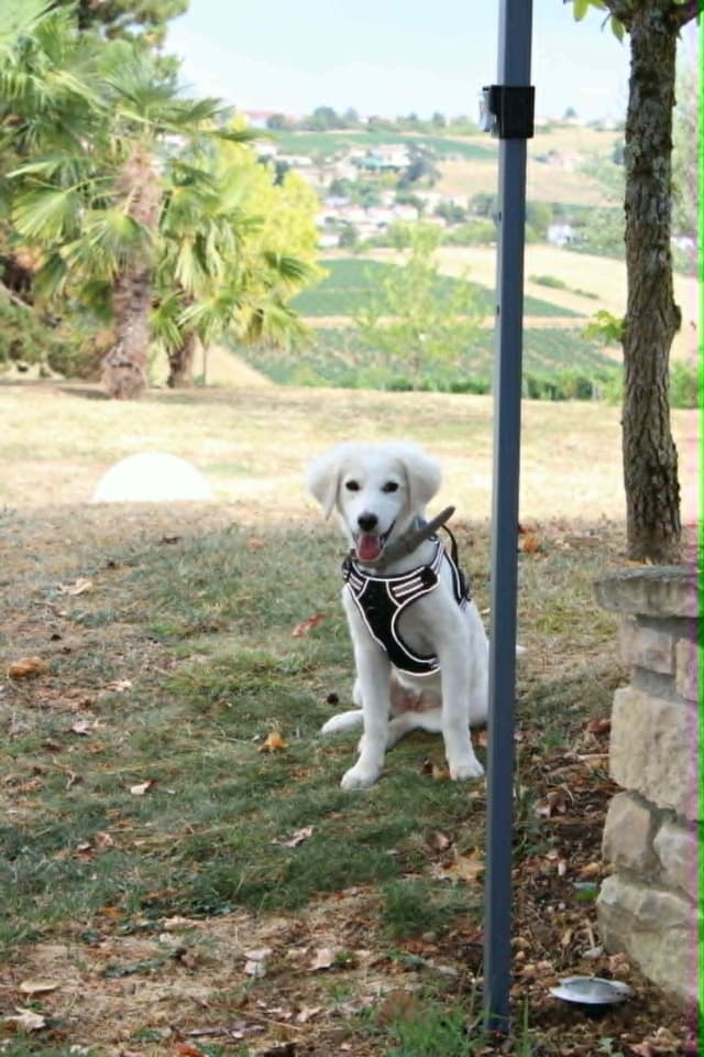 Bonnie · photo 1