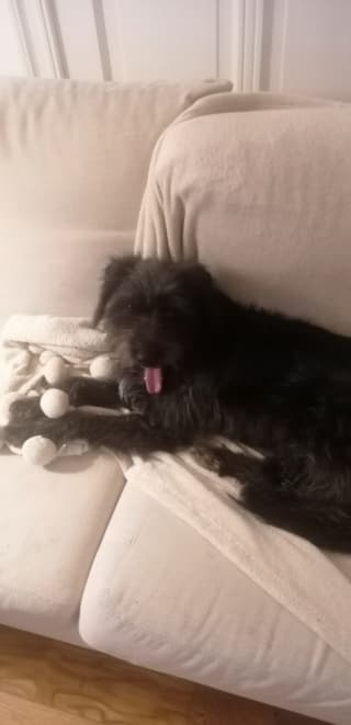 Catou · photo 3